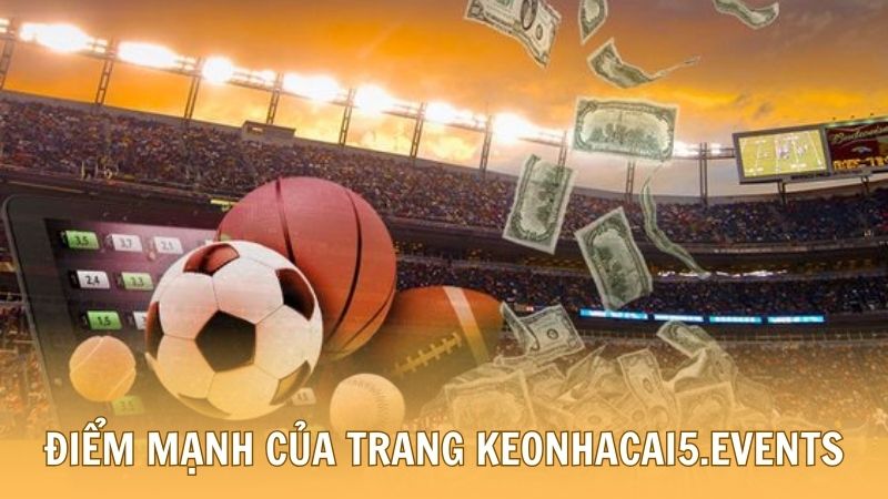 Điểm mạnh hỗ trợ người chơi cá cược tại deportesacuaticospecesuelos.com.mx